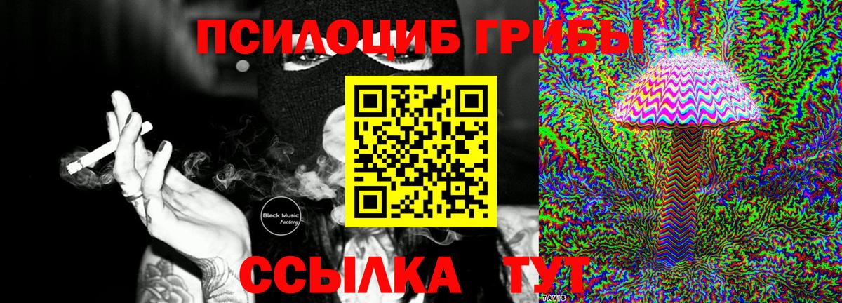 Псилоцибиновые грибы GOLDEN TEACHER Волжский